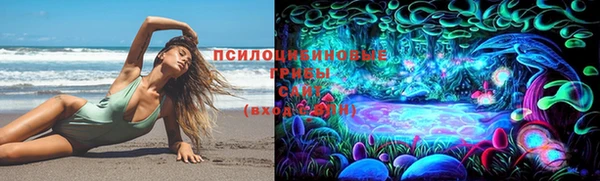 бошки Алзамай