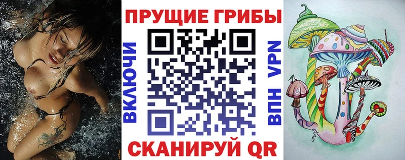 Псилоцибиновые грибы MAGIC MUSHROOMS  магазин продажи   mega вход  Шахты 