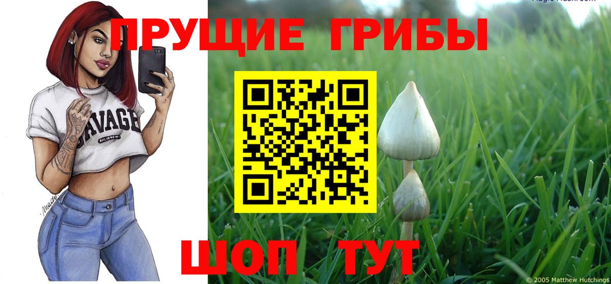 Шахты  Псилоцибиновые грибы Cubensis  Псилоцибиновые грибы Cubensis  Вход с VPN 